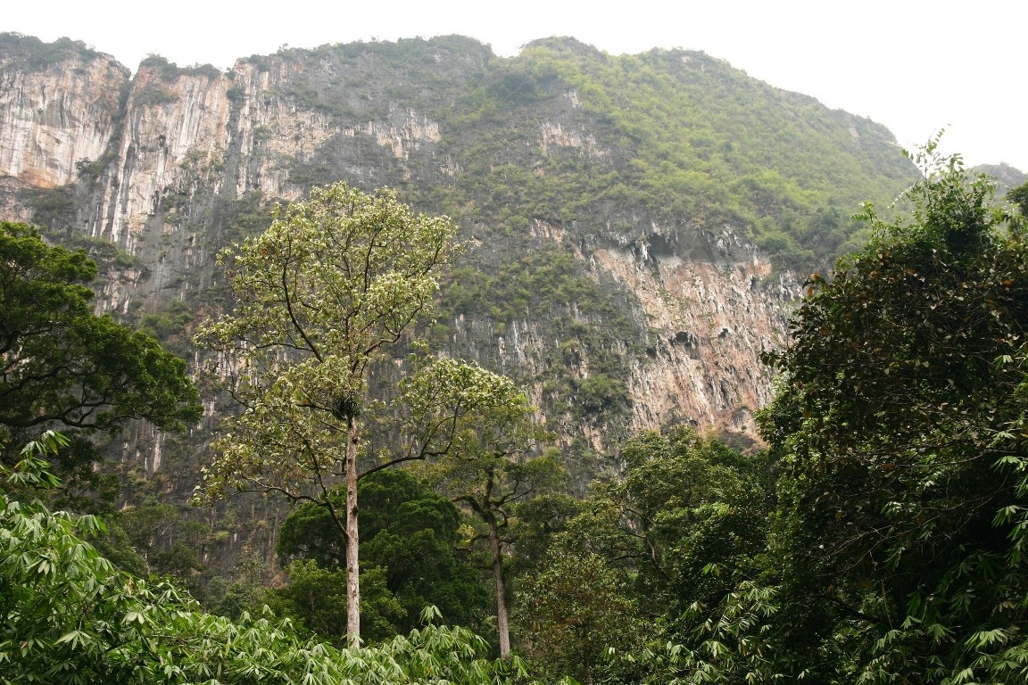 Huge Cliffs, Khao Sok National Park